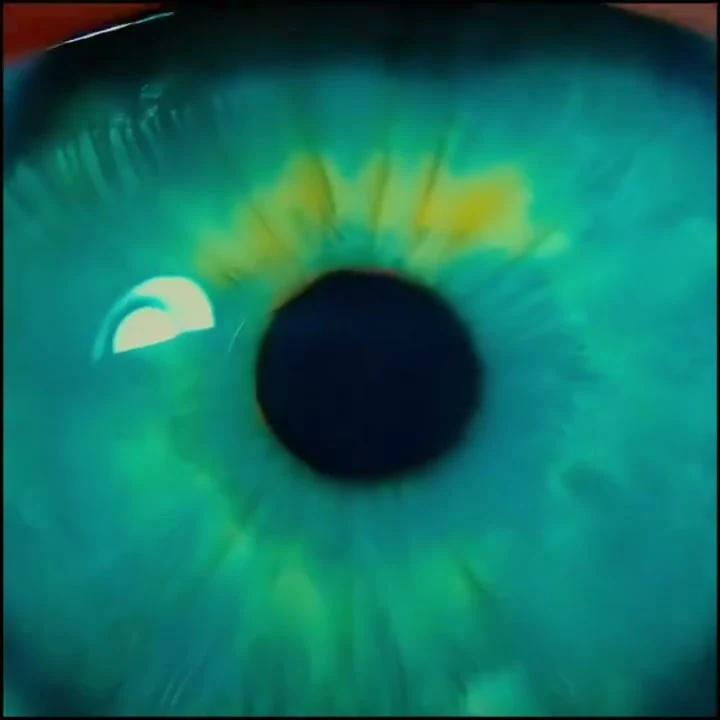 A close-up of a blue-green eye, a glimpse into PORTALS